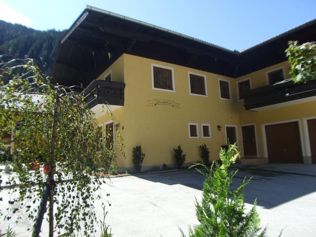 Appartement Schneegloeckchen 巴德加斯坦 外观 照片